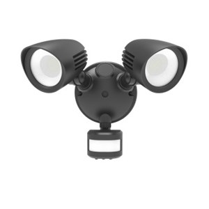 Twin spot shop security light